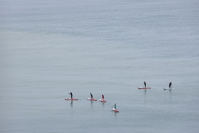 paddleboarding safari in thanet